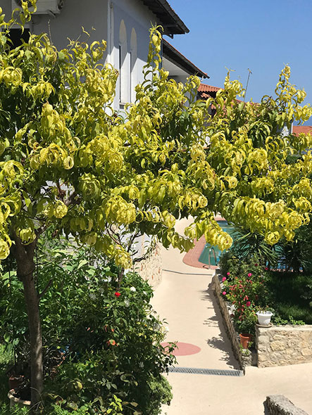 pighi-hotel-index-web