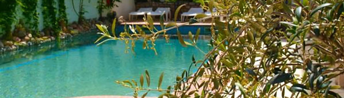 pighi-hotel-pool-bar-panorama